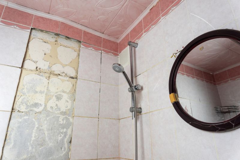 Cost of Shower Repair — Cost of Shower Repair