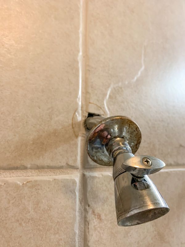 Age and Condition of Shower